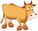 Roban dos vacas y les ponen botas para no dejar huellas